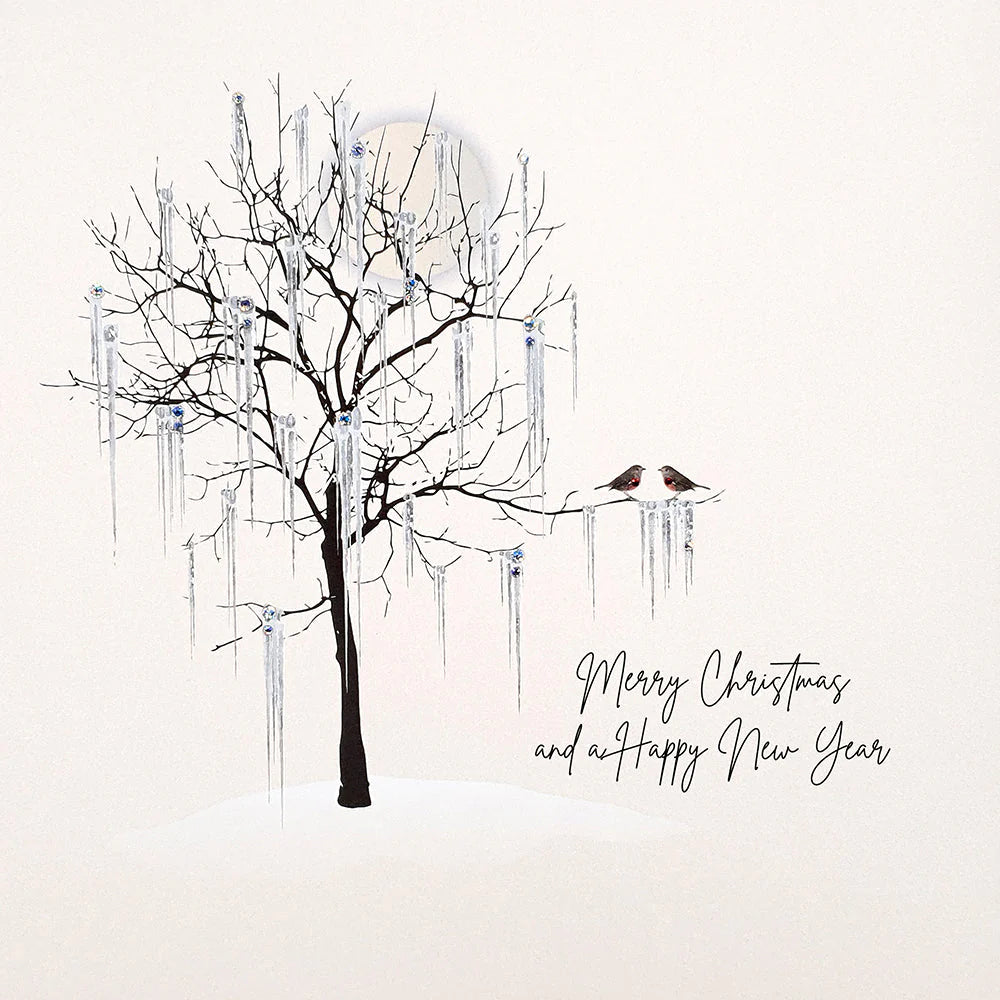 Five Dollar Shake Merry Christmas and a Happy New Year (Robins) Christmas Card