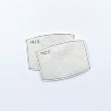 Load image into Gallery viewer, PM2.5 Replaceable Filters 6pk
