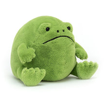 Load image into Gallery viewer, Jellycat Ricky Rain Frog Soft Toy
