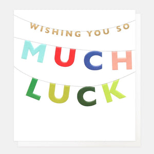Wishing You So Much Luck Bunting Card