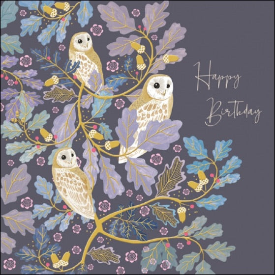Woodmansterne for The National Trust 'Harmony' Wise Owls Card